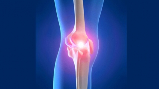 Osteoartrita și degradarea cartilajului articular | Clubul Sanatatii Stada