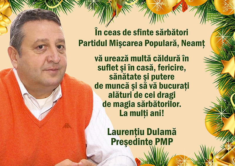 PMP - Laurentiu Dulama