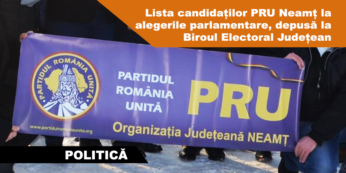 Lista CandidaÈ›ilor Pru NeamÈ› La Alegerile Parlamentare DepusÄƒ La Biroul Electoral JudeÈ›ean C